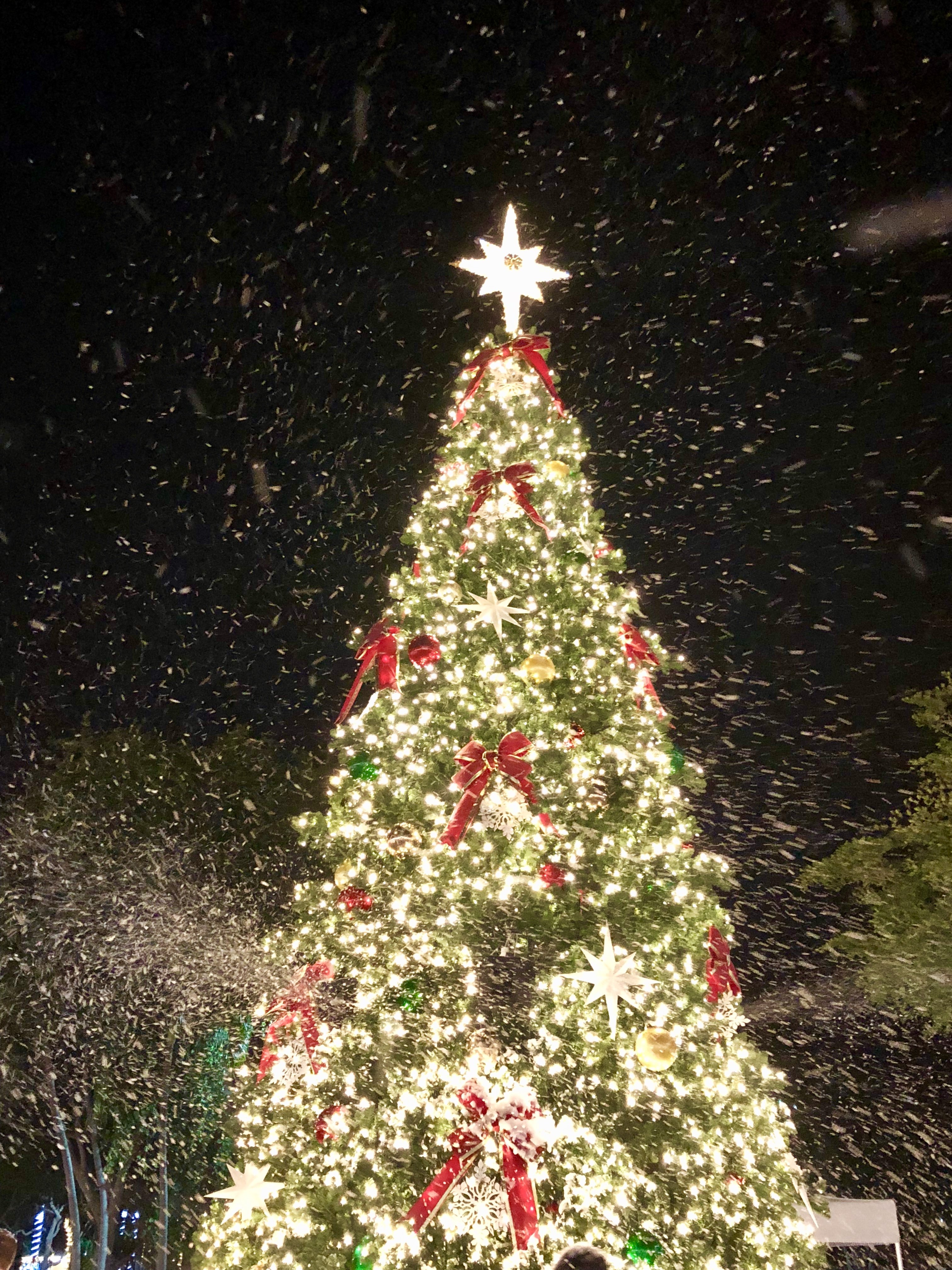 Another Fun & Festive Holiday on the Bay at The Village Shops!